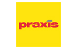 Praxis